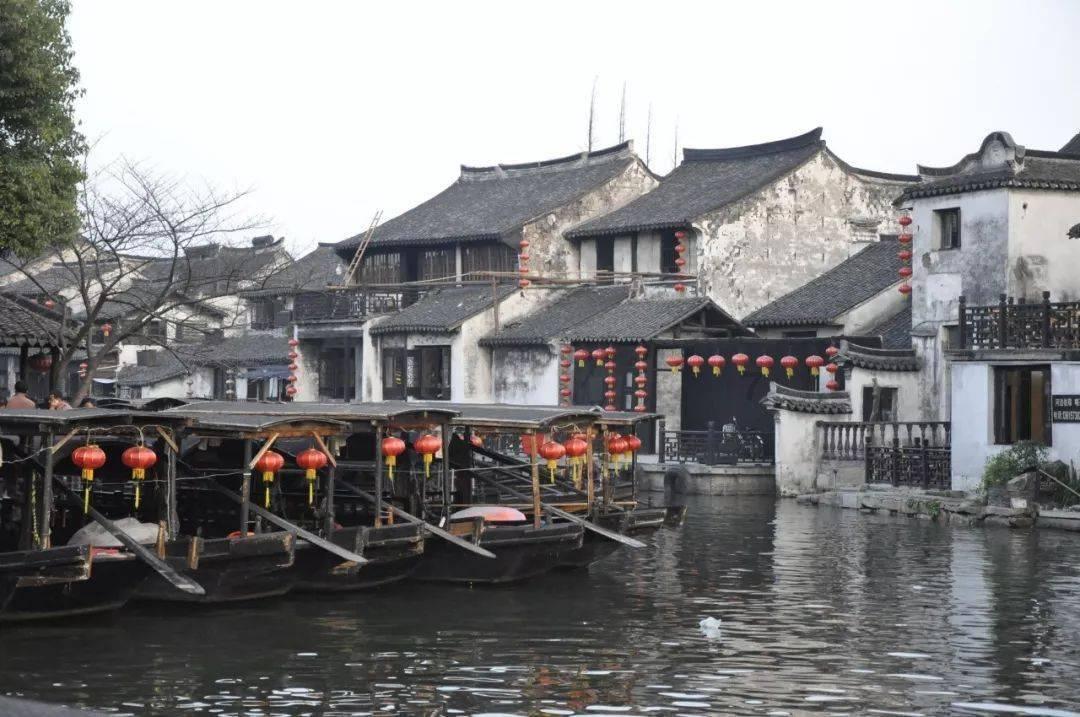 动物帮帮忙保卫家园